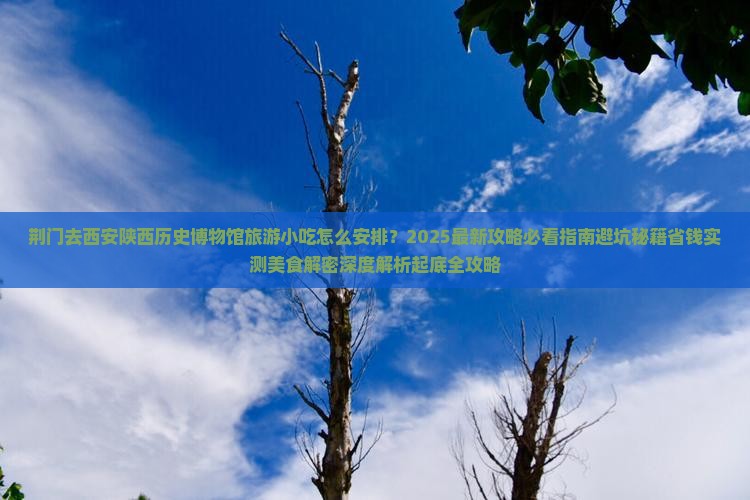 荆门去西安陕西历史博物馆旅游小吃