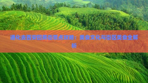 通化去西安回民街景点