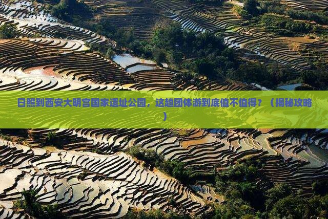 日照到西安大明宫国家遗址公园团体旅游