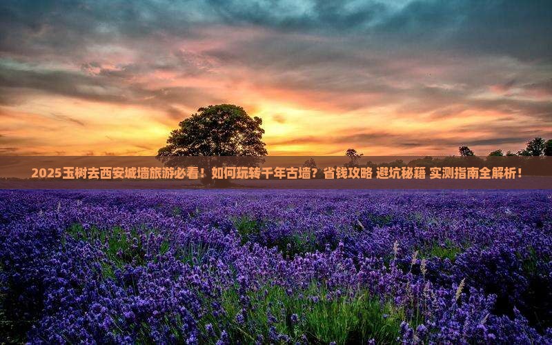 玉树去西安城墙旅游