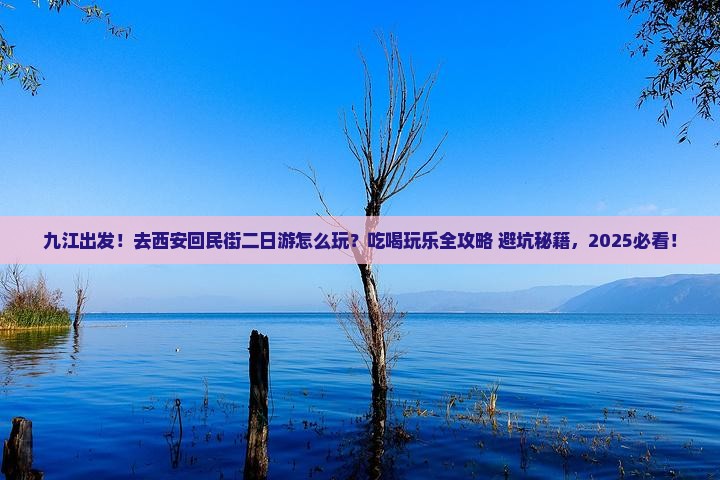 九江到西安回民街二日游