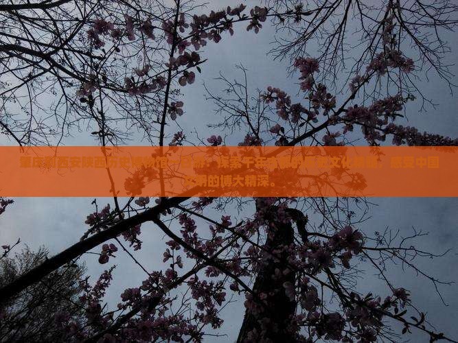 肇庆到西安陕西历史博物馆一日游