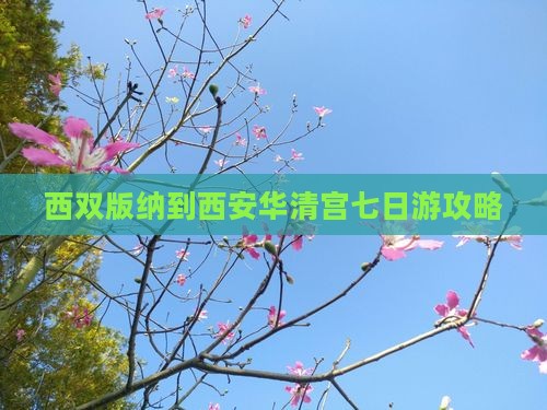 西双版纳去西安华清宫七日游