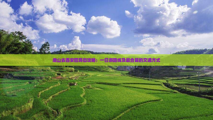 唐山去西安回民街攻略