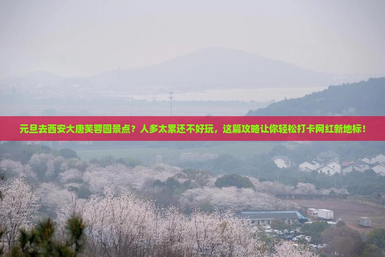 元旦去西安大唐芙蓉园景点