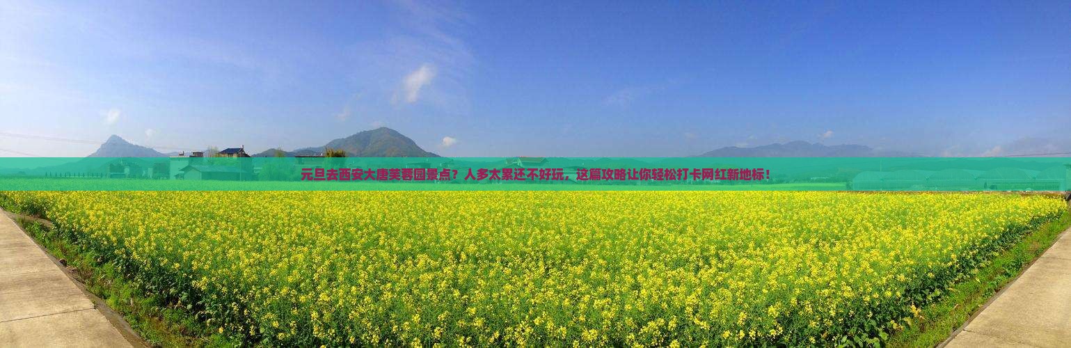 元旦去西安大唐芙蓉园景点