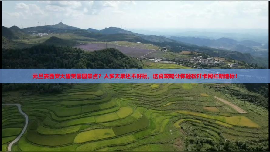 元旦去西安大唐芙蓉园景点