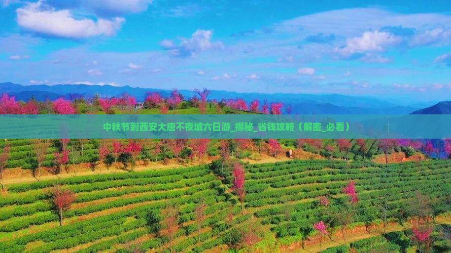 中秋节到西安大唐不夜城六日游
