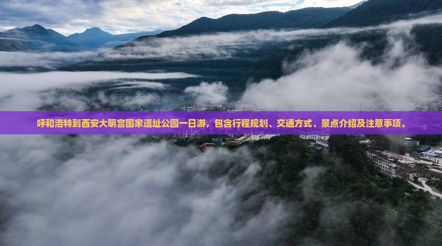 呼和浩特到西安大明宫国家遗址公园一日游