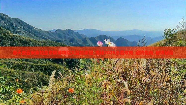春天去西安秦始皇帝陵博物院大型旅游团