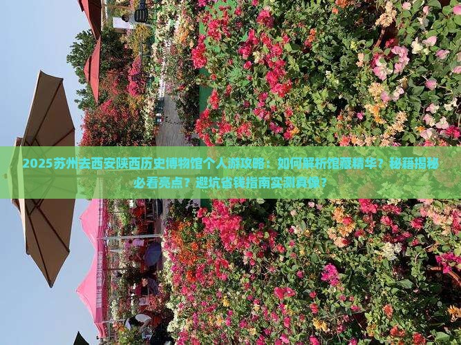 苏州去西安陕西历史博物馆个人游