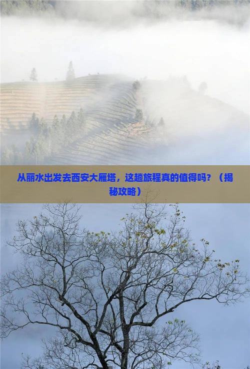 丽水到西安大雁塔旅游