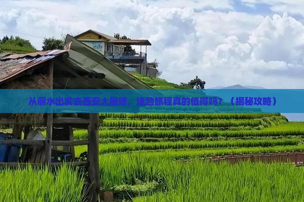丽水到西安大雁塔旅游