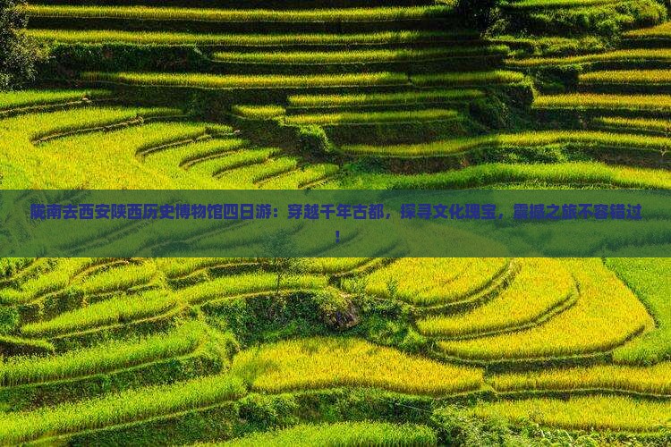 陇南去西安陕西历史博物馆四日游