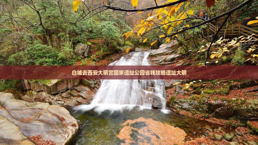 白城去西安大明宫国家遗址公园自由团