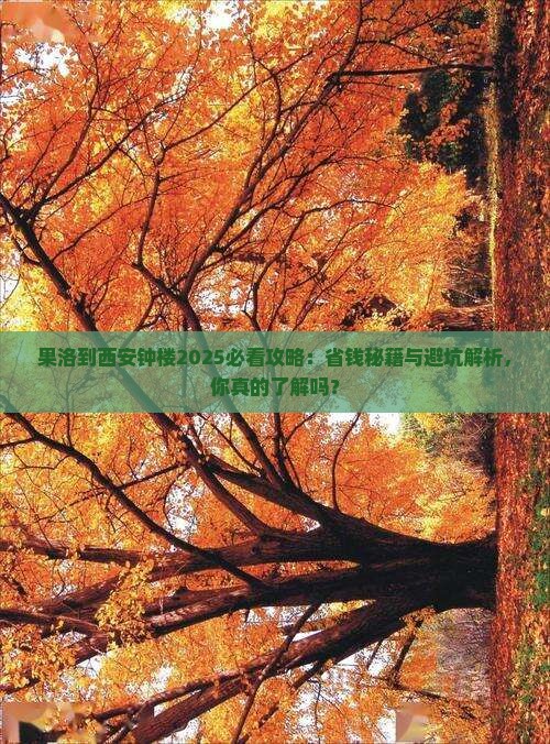果洛到西安钟楼攻略