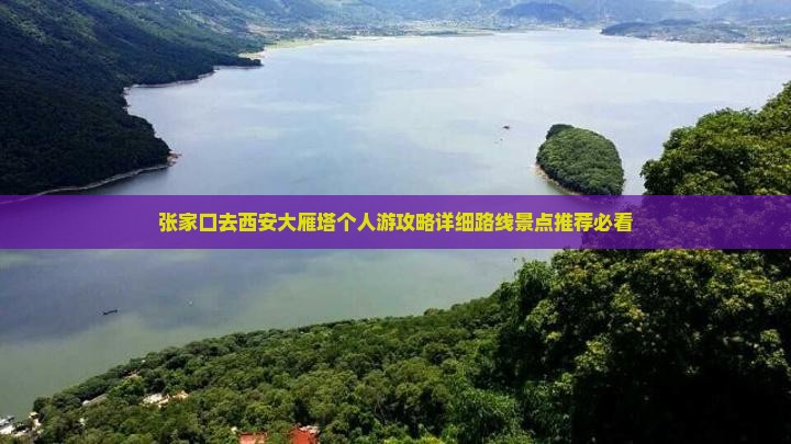 张家口去西安大雁塔个人游