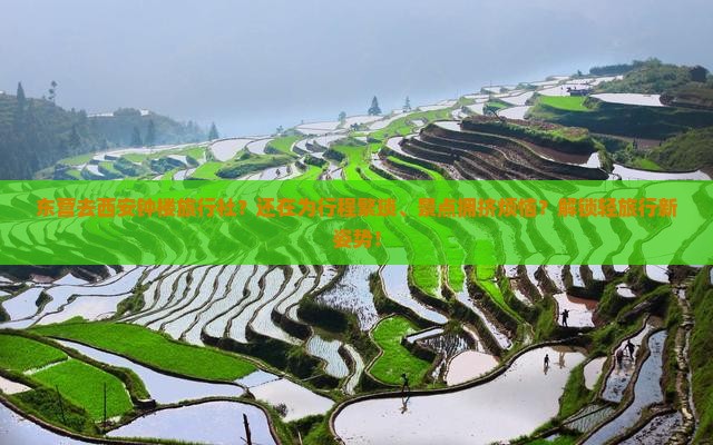 东营去西安钟楼旅行社