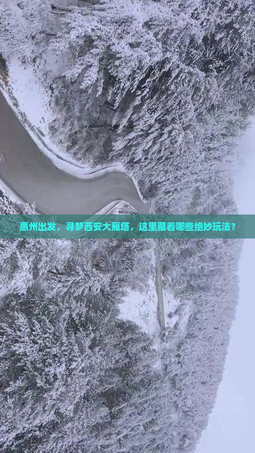 惠州到西安大雁塔哪里玩