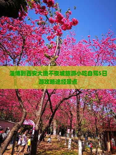 淄博到西安大唐不夜城旅游小吃