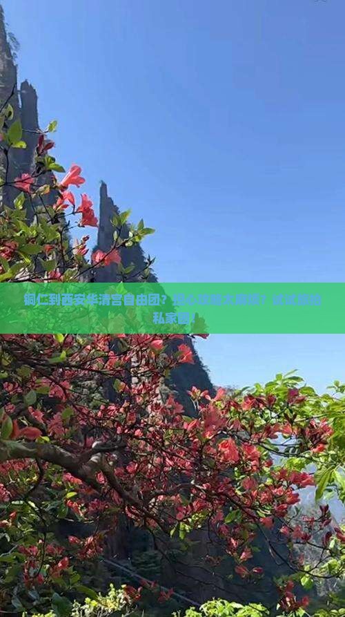 铜仁到西安华清宫自由团