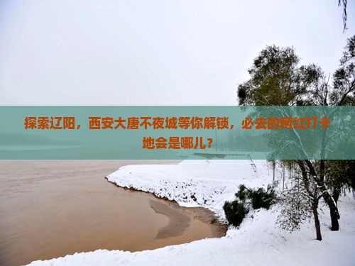 辽阳去西安大唐不夜城必去地