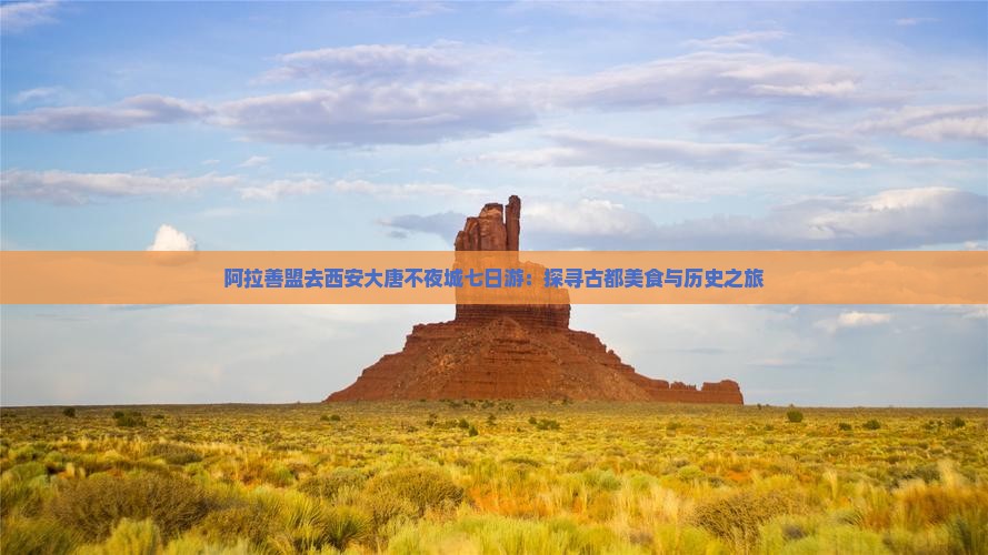 阿拉善盟去西安大唐不夜城七日游
