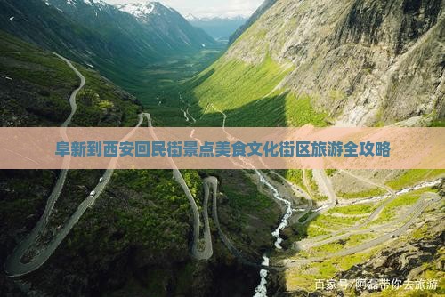 阜新去西安回民街景点