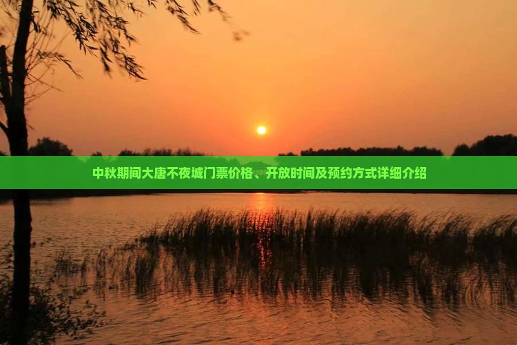 中秋节到西安大唐不夜城门票