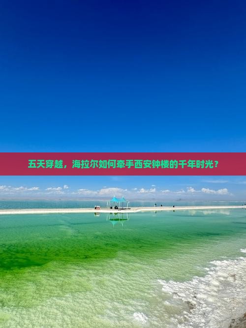 海拉尔去西安钟楼五日游