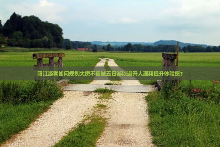 阳江去西安大唐不夜城五日游