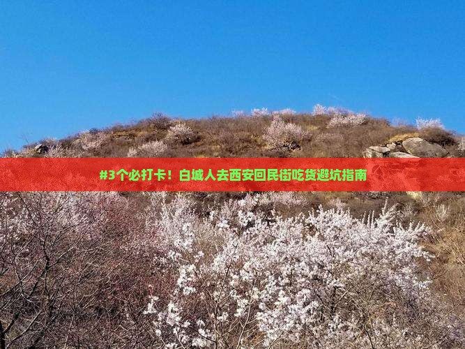 白城去西安回民街旅游小吃