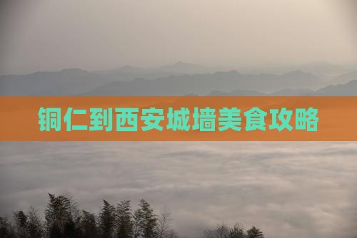 铜仁到西安城墙旅游小吃