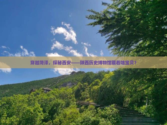 菏泽去西安陕西历史博物馆哪里玩