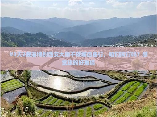 淄博去西安大唐不夜城自由团