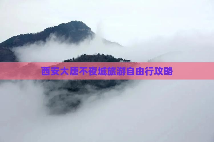 湘西到西安大唐不夜城自由团