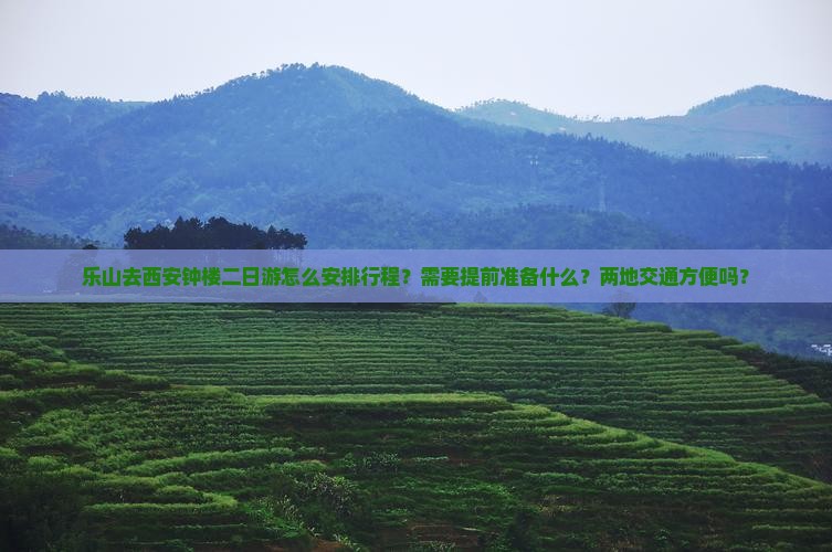 乐山去西安钟楼二日游