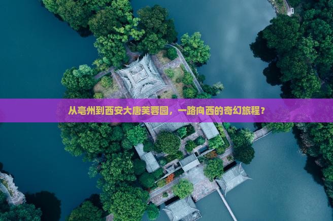 亳州去西安大唐芙蓉园攻略