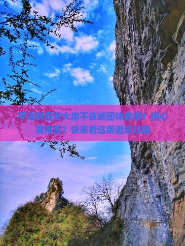 平凉到西安大唐不夜城团体旅游