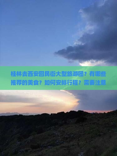 桂林去西安回民街大型旅游团