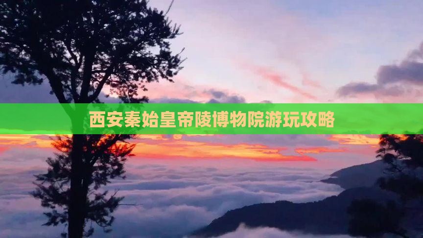 漳州到西安秦始皇帝陵博物院哪里玩