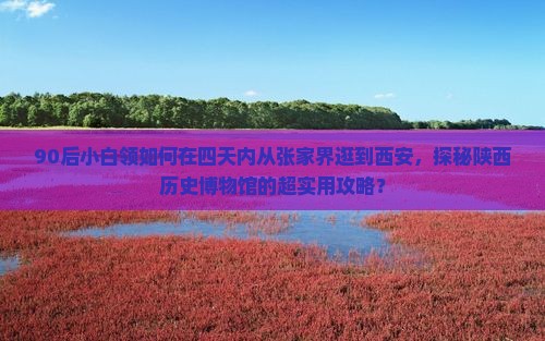 张家界去西安陕西历史博物馆四日游 张家界去西安陕西历史博物馆四日游