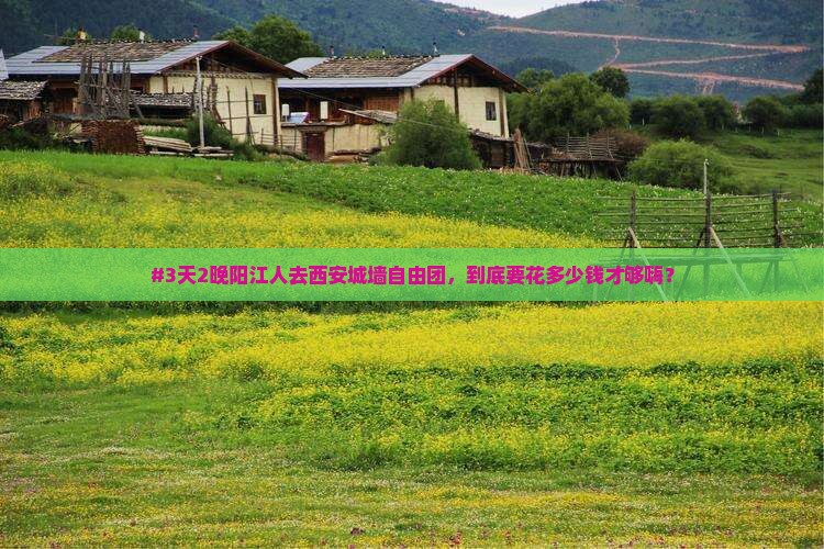阳江去西安城墙自由团
