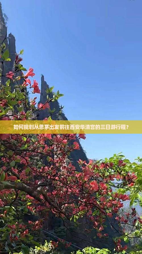 思茅去西安华清宫三日游