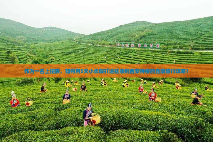 抚顺到西安钟楼自由团