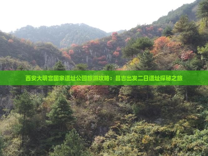 昌吉去西安大明宫国家遗址公园二日游