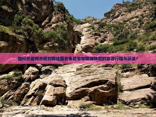 德州去西安秦始皇帝陵博物院哪里玩