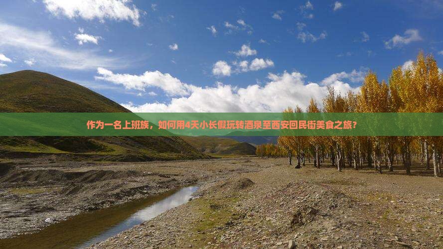 酒泉到西安回民街四日游