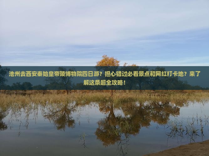 池州去西安秦始皇帝陵博物院四日游
