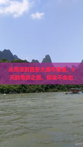 菏泽去西安大唐不夜城五日游